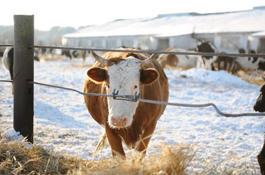 Similar image 21019545