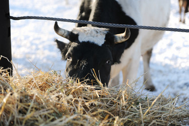 Similar image 21019546