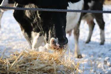 Similar image 21019713