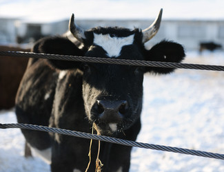 Similar image 21019714