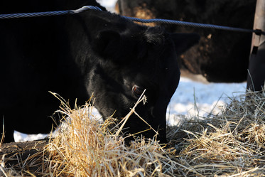 Similar image 21019717