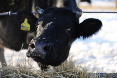 Similar image 21019718