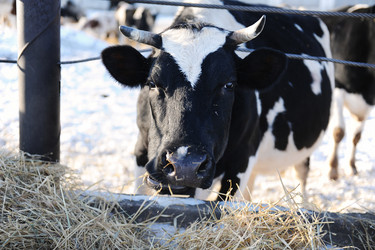 Similar image 21019719