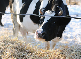 Similar image 21019720