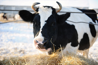 Similar image 21019722