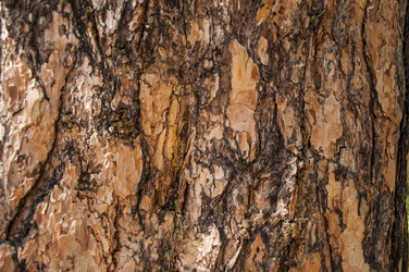 Similar image 21004090