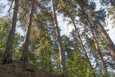 Similar image 21004258