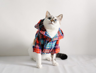 Similar image 21011433