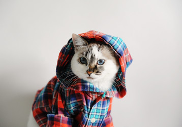 Similar image 21011436