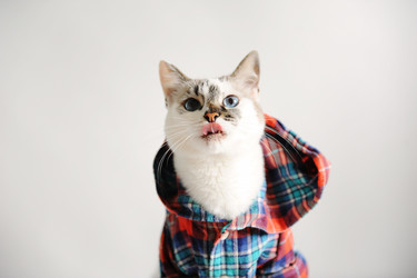 Similar image 21011600