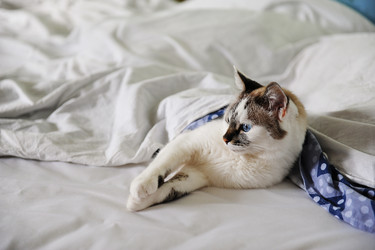 Similar image 21011602