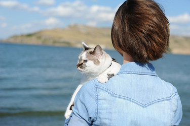 Similar image 21011610