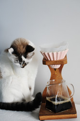 Similar image 21011682