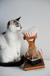 Similar image 21019189