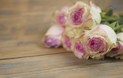 Similar image 21001891