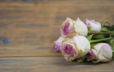 Similar image 21001892