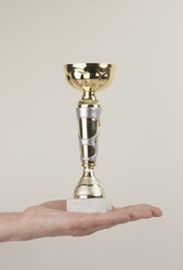 Similar image 21001909