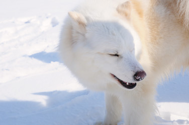 Similar image 21019726