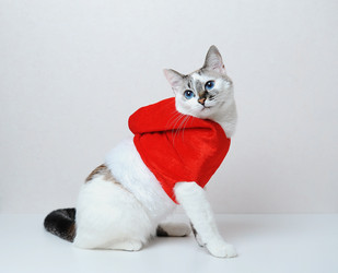 Similar image 21019727