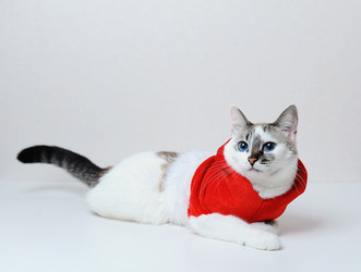 Similar image 21019728