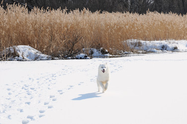 Similar image 21019730