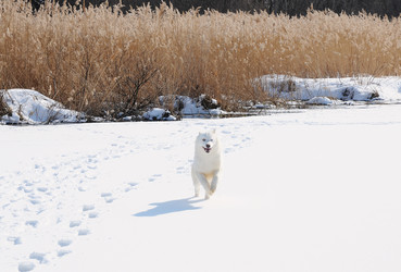 Similar image 21019731