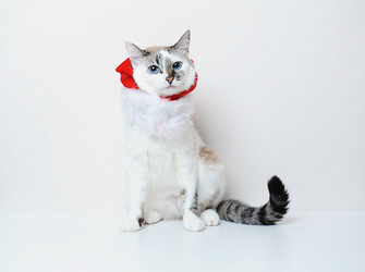 Similar image 20997712