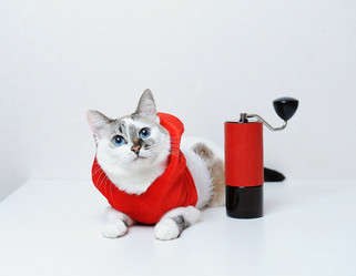 Similar image 20997716