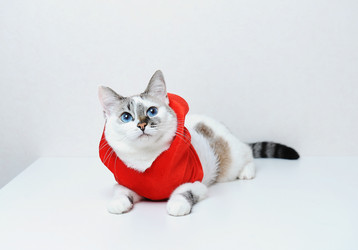 Similar image 20997718