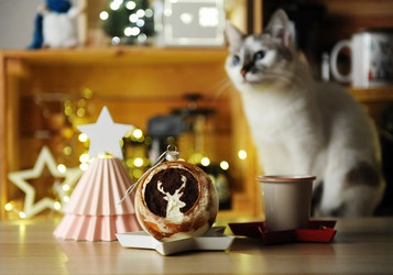 Similar image 20997725