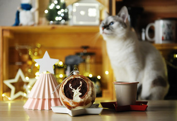 Similar image 20997726