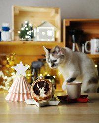 Similar image 20997727