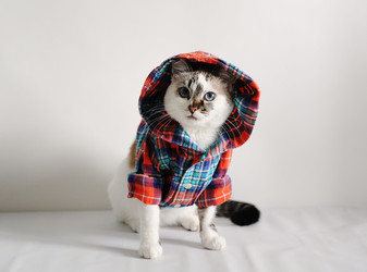 Similar image 21019562