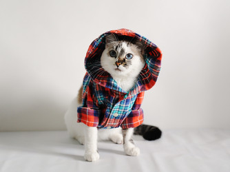 Similar image 21019563