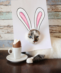 Similar image 21019764