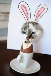 Similar image 21019765