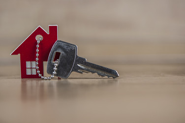 Similar image 21004273