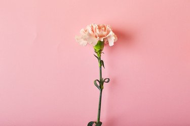 Similar image 20998691