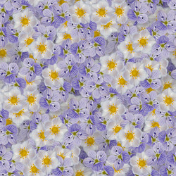 Similar image 20999526