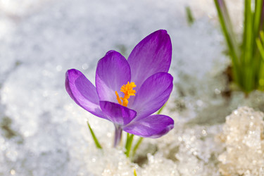 Similar image 20999527