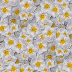 Similar image 20999528