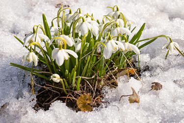 Similar image 20999531