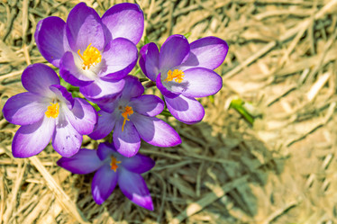 Similar image 20999533