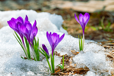 Similar image 20999534