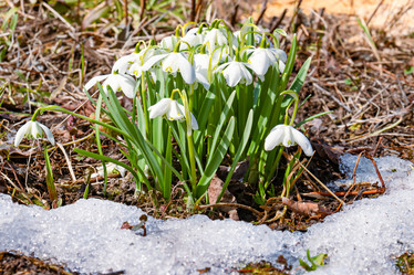 Similar image 20999535