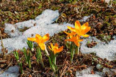 Similar image 20999536