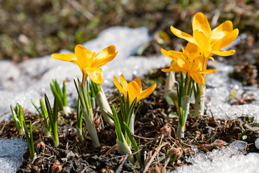 Similar image 20999537