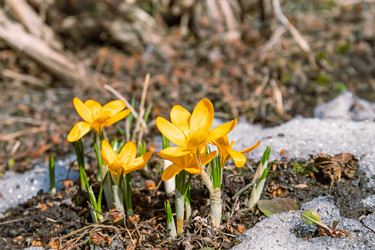 Similar image 20999538