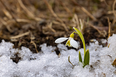 Similar image 20999540