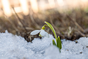 Similar image 20999541